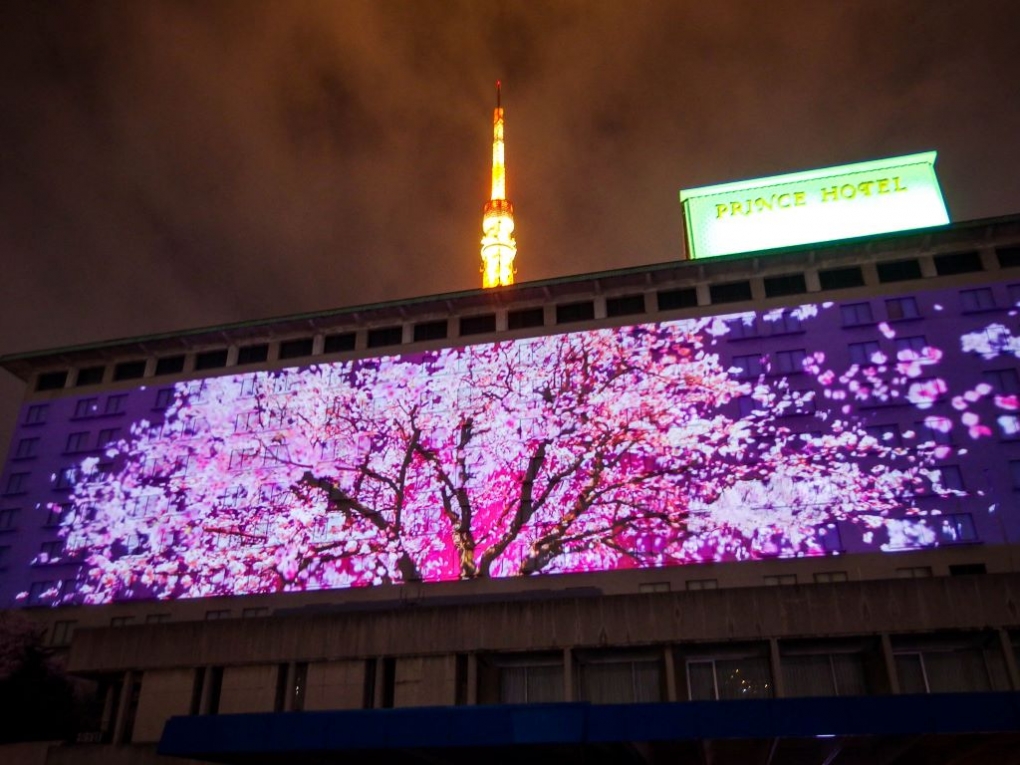 プロジェクションマッピング事例｜REBORN 2017〜また来年、桜の咲くころに〜