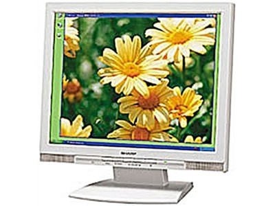 15ｲﾝﾁRGB液晶ﾃﾞｨｽﾌﾟﾚｲ(LL-153A-W)